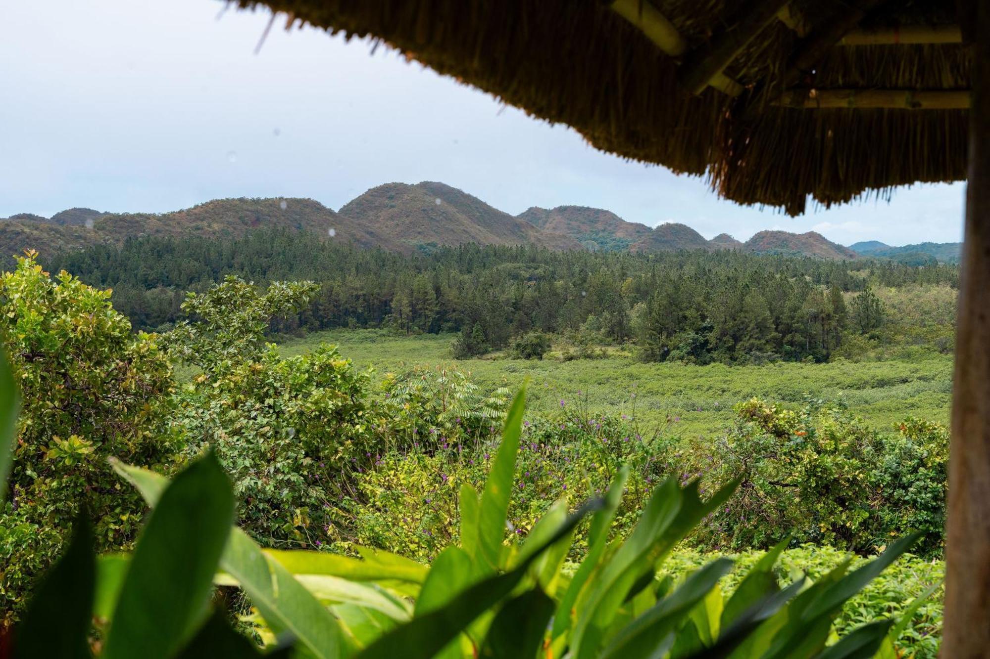 El Regalo Resort 博卡奇卡 外观 照片
